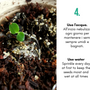 Cadeaux - Kit Crayon à planter aux graines de camomille - en blister - RIPPOTAI