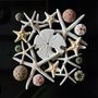Objets de décoration - Cadre avec composition d'oursin naturel, cadre décoratif - METAMORPHOSES