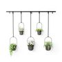 Décorations florales - TRIFLORA Ensemble de 5 pots suspendus  - UMBRA