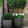Pots de fleurs - Soho Planter - CAPITAL GARDEN PRODUCTS LTD