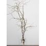 Vases - The Third Fold - MARTA ARMENGOL