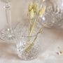 Crystal ware - Lavo Collection by Pekalla Crystal Manufacture - PEKALLA CRISTAL GLASS