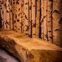 Conference tables - Driftwood bench and stool - DECO-NATURE