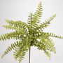 Floral decoration - Fern - LOU DE CASTELLANE - artificial plants and flowers - LOU DE CASTELLANE