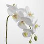 Floral decoration - ORCH PHALAE YUKIMAI H62 - LOU DE CASTELLANE - artificial plants and flowers - LOU DE CASTELLANE