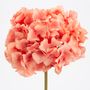 Décorations florales - HORTENSIA ALTONA H48CORAIL - LOU DE CASTELLANE - plantes et fleurs artificielles - LOU DE CASTELLANE