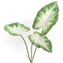 Floral decoration - CALADIUM X3 H61 - LOU DE CASTELLANE - artificial plants and flowers - LOU DE CASTELLANE