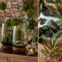 Décorations florales - Lou de Castellane - Vases, Fleurs et plantes artificielles haut de gamme - LOU DE CASTELLANE