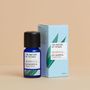 Senteurs - Huile essentielle d'eucalyptus biologique - THE NATURE OF THINGS