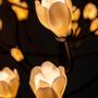 Ceiling lights - Mokuren Chandelier Collection - Lighting With Soul - LLADRÓ