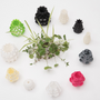 Vases - “BLOB” - HALL HAUS