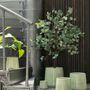 Decorative objects - Pistachio Jungle - J-LINE BY JOLIPA