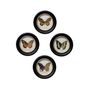 Paintings - S/4 round colored butterfly frames - CHEHOMA