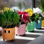 Floral decoration - Eyes Plant Pot - FISURA