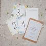 Childcare  accessories - “My first year month by month” Baby Cards - PRUNE & SIBYLLE