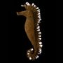 Pièces uniques - Inspiration aquatique- les hippocampes - ODILE MOULIN SCULPTURES