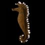 Unique pieces - Aquatic inspiration - seahorses - ODILE MOULIN SCULPTURES