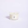 Candles - Citrus Grove fragrance candle in soy wax 140 g - CAROLA FRA I TRULLI