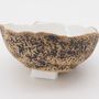Bowls - CORAIL ceramic hollow bowl - JOE SAYEGH PARIS