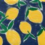 Objets de décoration - Serviette Citrus bleu - FRANÇOISE PAVIOT