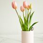 Scents - Tulip Ever After - NODITO