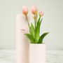 Scents - Tulip Ever After - NODITO