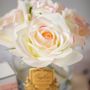 Floral decoration - COTE NOIRE PERFUMED NATURAL TOUCH 5 ROSES - CLEAR - PINK BLUSH - PINK BOX - CÔTE NOIRE