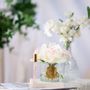 Floral decoration - COTE NOIRE PERFUMED NATURAL TOUCH 5 ROSES - CLEAR - PINK BLUSH - PINK BOX - CÔTE NOIRE
