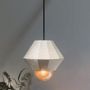 Hanging lights - SEPALUM lamp. - BOUTURES D'OBJETS