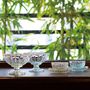 Everyday plates - Yuki no Hana Dessert Tray - HIROTA GLASS MFG. CO., LTD.