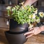 Décorations florales - Pots muraux avec arrosage auto - CITYSENS