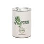 Cadeaux - Kit à semer du Persil - MAUVAISES GRAINES