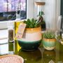 Objets de décoration - Mini Succulents mix avec cache-pot Seventies - assortiment 4 couleurs - small - PLANTOPHILE