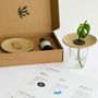 Caskets and boxes - Germination & Hydroculture Gift Set - PEPIN