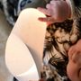 Children's decorative items - Pleiades 5in1 Nomad Lamp Set - MAISON POLOCHON