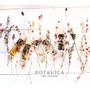 Scent diffusers - 500 ml Home Fragrance Refill/Diffuser - Wood Mist Collection/BOTANICA Fragrance Japan - ABINGPLUS
