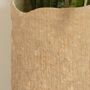 Vases - Paper Clay Bark Planter - INDIGENOUS