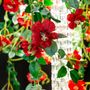Floral decoration - Flower Power Wild Rose Chandelier - VG - VGNEWTREND