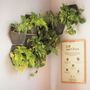 Floral decoration - Modular indoor vertical garden - CITYSENS