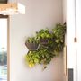 Floral decoration - Modular indoor vertical garden - CITYSENS