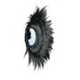 Mirrors - The Sunken Forest Mirror - Black - BAZAR BIZAR - COASTAL LIVING