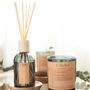 Decorative objects - L'Atelier Denis - BALANCE: 100% vegetable wax scented candle 150g - 30H - DENIS ET FILS