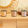 Decorative objects - L'Atelier Denis - SERENITE: 100% vegetable wax scented candle 300g - 50H - L'ATELIER DENIS