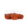 Candlesticks and candle holders - The Oh My Gee Candle Holder - Rust Velvet - M - SET/4 - BAZAR BIZAR LIVING