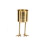 Vases - The Bird Feet Planter - Brass - L - BAZAR BIZAR LIVING