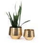 Vases - The Hammered Planter - Brass - L - BAZAR BIZAR LIVING