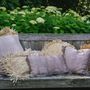 Coussins - La Housse De Coussin Oh My Gee - Velours Béton - 30x50 - BAZAR BIZAR LIVING