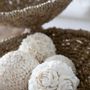 Decorative objects - The Flower Shell Ball - White - L - BAZAR BIZAR LIVING
