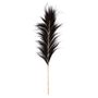 Decorative objects - The Stunning Leaf - Black - Set of 6 - BAZAR BIZAR LIVING