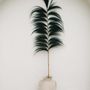 Decorative objects - The Stunning Leaf - Black - Set of 6 - BAZAR BIZAR LIVING